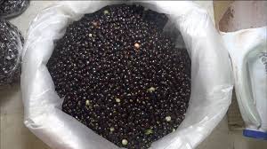Guandú Morado por libra