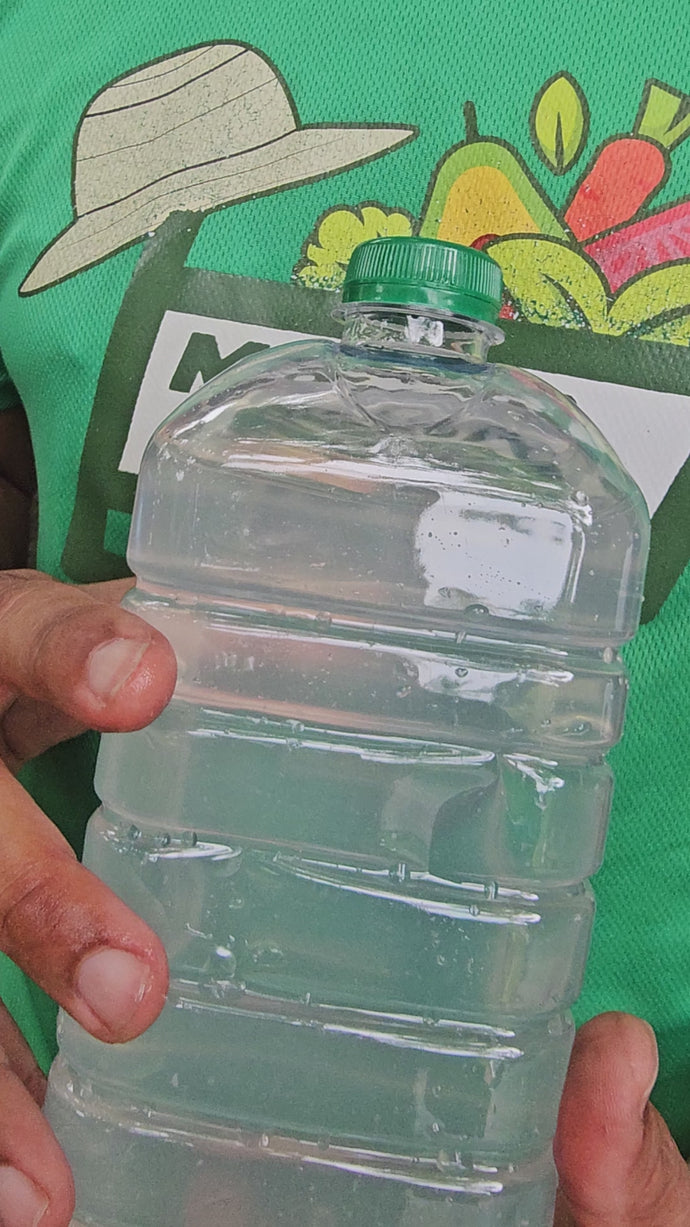 Agua de Pipa - Botella 2lts (100% Natural)