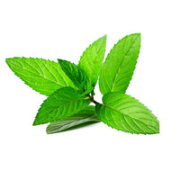 Hierbabuena x Paquete