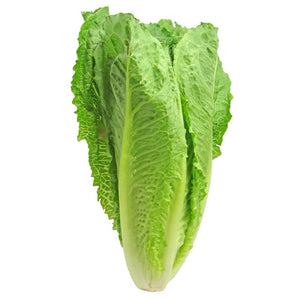 Lechuga Romana por libra