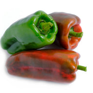 Aji Pimenton de Colores x libra