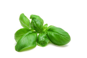 Albahaca por pqte