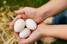 Cargar imagen en el visor de la galería, Huevos orgánicos (de patio)
